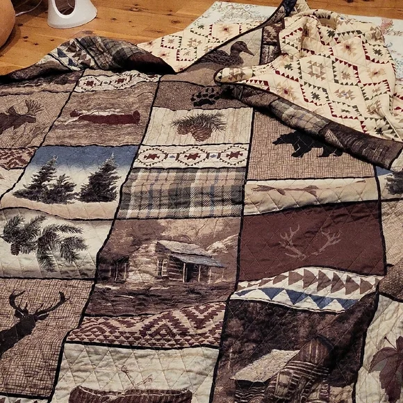 Donna Sharp Queen Quilt Set - Picture 1 of 7